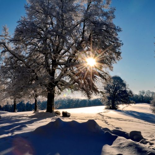 Winterlandschaft Dreifaltigkeitsberg